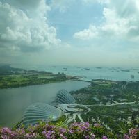 植物園側の眺望