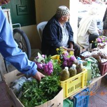 ミントティーに入れるミントや野菜を売っています。