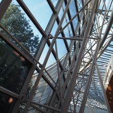 周囲を散歩するだけでも癒されました