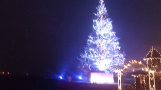 クリスマスツリーなかなか綺麗でした。