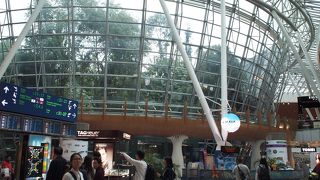 森の中の空港、空港の中の森