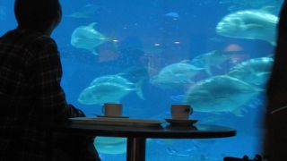 沖縄に行ったときにはいくべきスポット