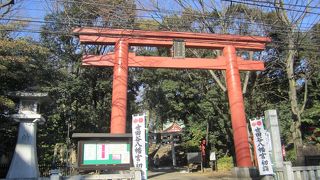 勝運・開運の神様世田谷八幡宮