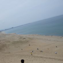 砂丘から眺める海