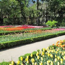 4月末という時期も良かったのか、お花が沢山咲いていました。