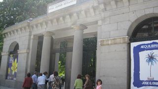 青空に映える彩の花々。