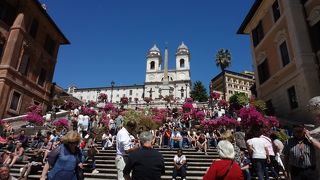 花と青空のコントラストが最高！