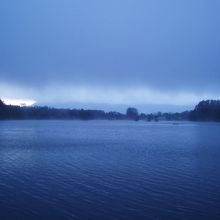 近くの風景