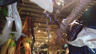 この規模と内容で無料とは、驚きです