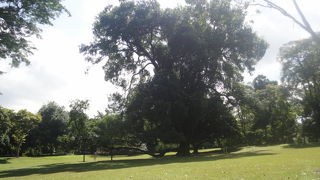 シンガポールのセントラルパーク