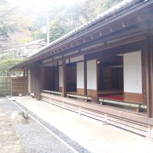 抹茶がいただけます