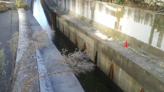 ビルの背後を流れる都心の川です。