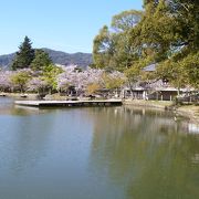 大覚寺の名勝で日本最古の庭池です