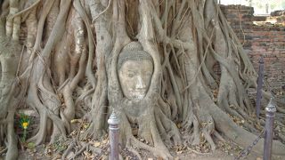 必ず行く有名なスポット