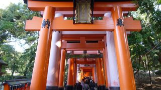 週末はいつも人混みです