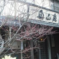 龍のような梅の木が見ものです。