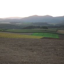 まさにパッチワーク