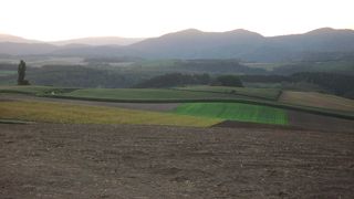 美瑛ならではの光景です