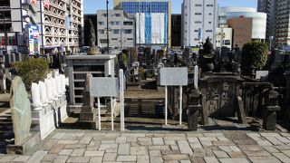 忠長の墓があると紹介されていたので、訪ねてみました