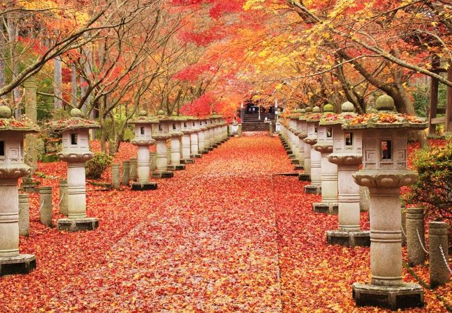 参道の紅葉が美しいお寺