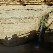 水が豊かな土地