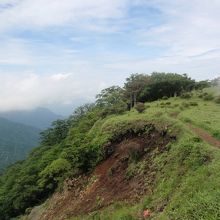 丹沢山中からの景色