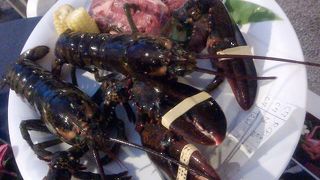 ショーが無料で見れるように♪