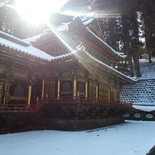 日の光が当たり綺麗でした。