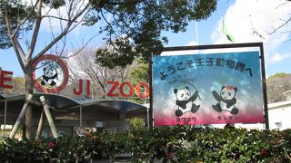 パンダはやっぱり人気者