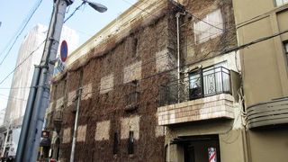 つたで覆われたビル