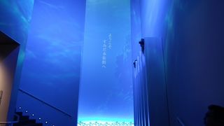 意外と空いていました。