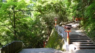 新緑の季節は最高です