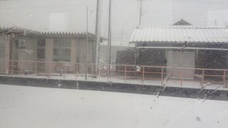 一面の雪