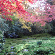 京都在住の方が薦めてくれた庭園