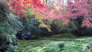 京都在住の方が薦めてくれた庭園