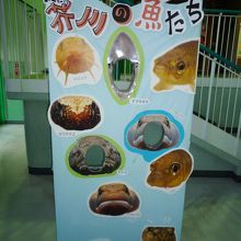 顔を出して写真を撮るコーナー