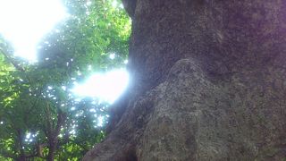 ずっと居たくなる場所