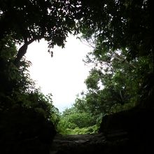 ハートの木の間から久高島、観えるかな？