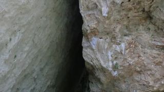 そこに身を置くだけで感じる穏やかな癒し