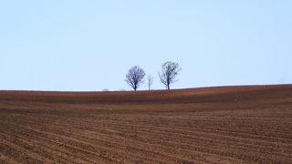 7月はまだ、冬のような？情景でした。
