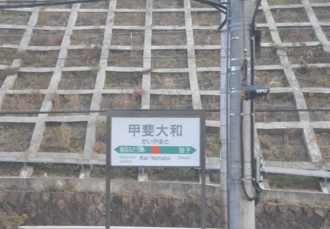 甲斐大和駅