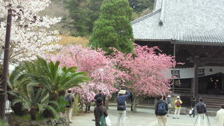 静かで落ち着ける寺