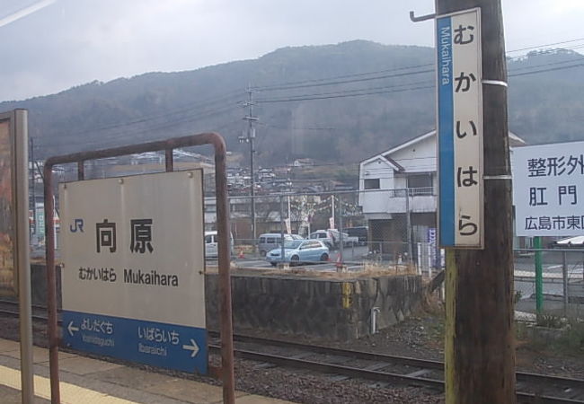 向原駅