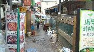 路地裏に市民の方の生活が垣間見れます