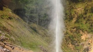 野生の猿が見れる温泉