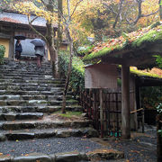 しっとりとした雰囲気が似合う庭園