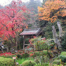 汀の池と千年姫小松
