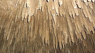 見ごたえのある鍾乳洞