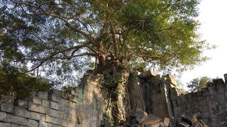 ラピュタにでてきそうな遺跡