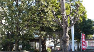 大通りに面した老舗神社